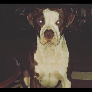 Meet your Posher, Joann